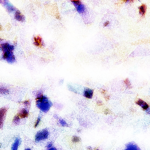 韩国黄色小视频
